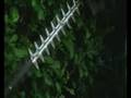 Husqvarna - Hedge trimmers
