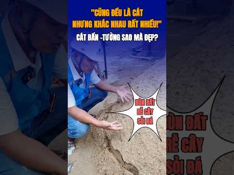 CÙNG LÀ CÁT – NHƯNG CHẤT LƯỢNG BỨC TƯỜNG QUÁ KHÁC NHAU!