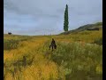 AoC Invisihorse