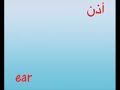 تعلم الانجليزية : جسم الإنسان : http://vocabulary4arab.blogspot.com