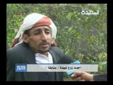 حصان ينيك بنت