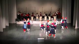 Godisnji koncert KUD Abrasevic Lindjo