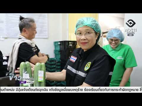 อุโมงค์โมเดลพลิกโฉมเกษตรลำพูน สู่แปลงใหญ่ผักอัจฉริยะ