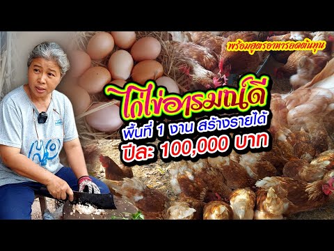 ไก่ไข่อารมณ์ดี พื้นที่ 1 งาน สร้างรายได้ปีละ 100,000 บาท