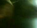 videos de 