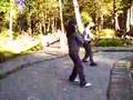 鄭子太極拳37式