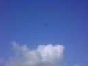 Falcon Dive