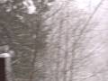 snow