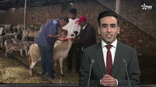 الأخبار الأمازيغية الأولى 25/04/2026