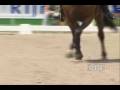 videos de Fully Alive-Equestrian