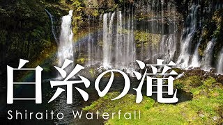 絶景空撮 富士山と白糸の滝の紅葉 - Aerial view of Shiraito Waterfalls in Autumn taken with ad drone