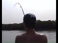 Pêche d'une raie pastenague 14kg