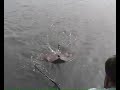 Pêche d\ Pêche d\
