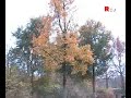oosterpark