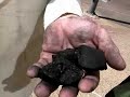 Houston TXU Billionaires for Coal