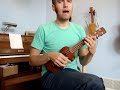 Two Chord Songbook