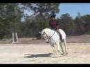 Click here to watch this video RB Pagos Baby Huey