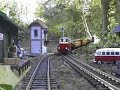 4. Diesel loco 2091.03 pulls a log train