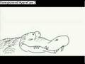 Foto v�deo