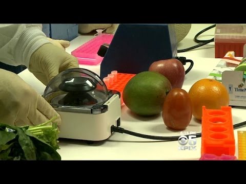 how to eliminate dna traces
