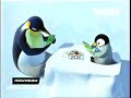 Pigloo - Le papa Pingouin - Clip