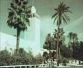 تاريخ الجزائر
