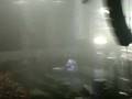 Volare..omaggio al grande domenico modugno