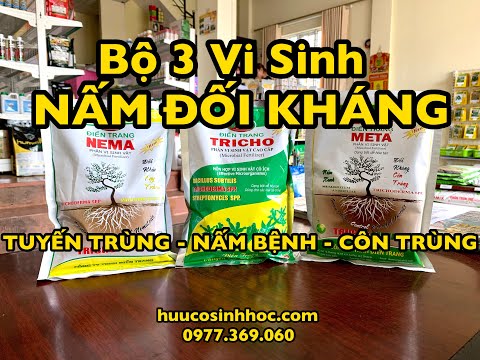 BỘ 3 VI SINH ĐỐI KHÁNG (CÔN TRÙNG - TUYẾN TRÙNG - NẤM BỆNH) AN TOÀN , HIỆU QUẢ CAO