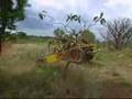 videos de Auto Cross Gaiola Taguatinga-DF