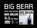 BIG BEAR 2008.9.3Release CM B BIG BEAR 2008.9.3Release CM B