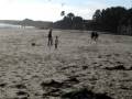 videos de Flying a kite in Mendocino