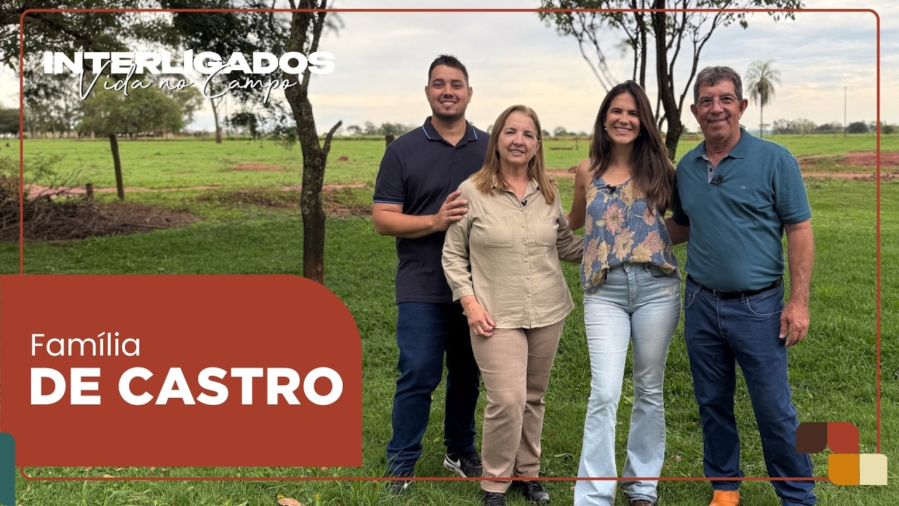 De seis porcos a 100 mil leitões por ano, o sonho da Família Castro | Interligados - Vida no Campo