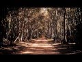 Ver Video