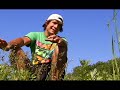 Longboard Mini-Series Post Show Pt. 2 - Western Sessions Longboarding