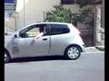 palermo people Gino evolution