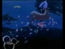 Bambi; she loves me Bambi; she loves me