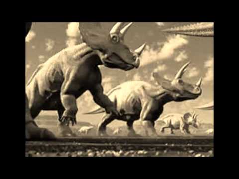 how to obtain fmb sketch