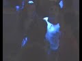 Maskenbal - Disko bar BOKI