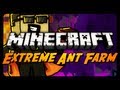 Extreme Ant Farm Survival - Ep. 16 - Drowning Special Dungeons!