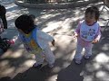 The Cousins Play Together Day 2