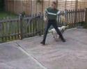 Perle - The Heelwork to Music Hound
