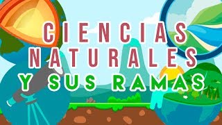 153 - ¿Cuáles son las principales ciencias naturales y que estudian? 153 - ¿Cuáles son las principales ciencias naturales y que estudian?