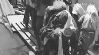 اصول مخيم الوحدات