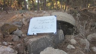 قرية لوبية المهجرة - حارة الشهايبة (الخربة) قرية لوبية المهجرة - حارة الشهايبة (الخربة)