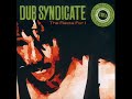 Dub Syndicate & Capleton - Time