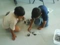 videos de ROBOTS: CONSTRUCCION Y FUNCIONAMIENTO