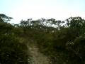 Click here to watch this video Gunung Tahan - Bukit Botak