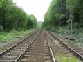 Train Spotting