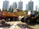 WEDICO CAT 966G - 1..^^