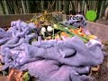 G Word - How to Reuse Dryer Lint G Word - How to Reuse Dryer Lint